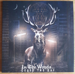 IN THE  WOODS - Case the day 2LP black