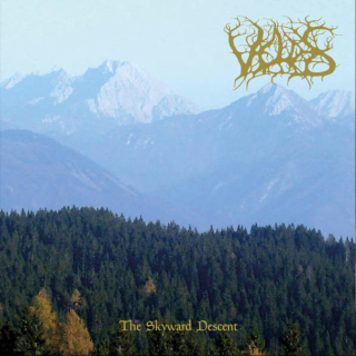 VELDES - The skyward descent LP black