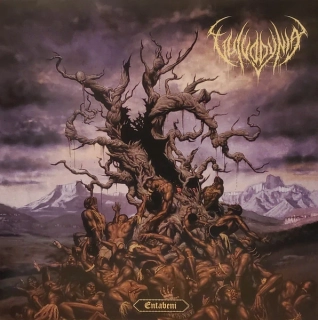 VULVODYNIA - Entabeni LP