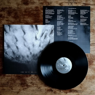 MORILD - Disse Fugle Får Ingen At Se LP black