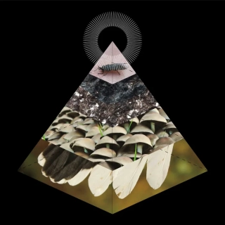 BELUS - Apophenia LP black