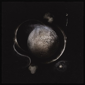 ENTHRONED - Cold dark suns LP coloured
