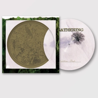 THE GATHERING - Nighttime birds LP picture