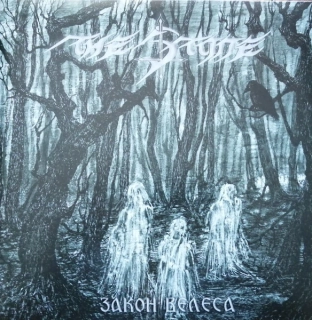 THE STONE - Zakon velesa LP blue gatefold