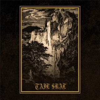 TAJE SKAL - Taje skal LP black