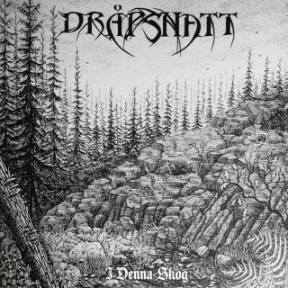 DRAPSNATT - I denna skog LP grey