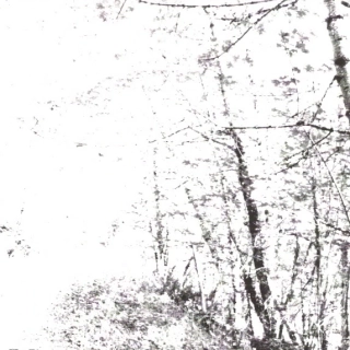AGALLOCH - The white CD EP