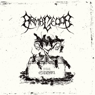 ARMAGEDDA - The Storm Vinyl 7"