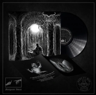 ANIMA DAMNATA - Nefarious seed grows to bring forth LP black