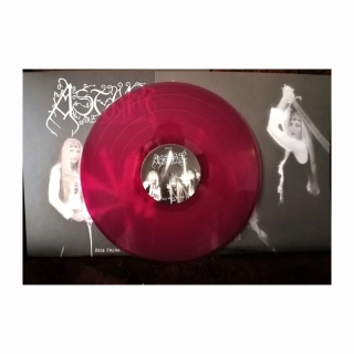 ASTARTE - Rise from within LP