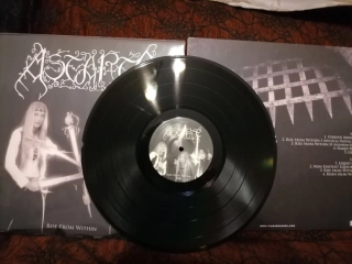 ASTARTE - Rise from within LP