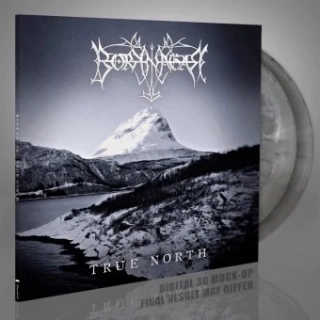 BORKNAGAR - True north 2LP silver 