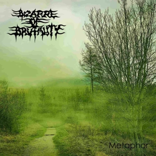 BIZARRE OF BRUTALITY  - Metaphor CD