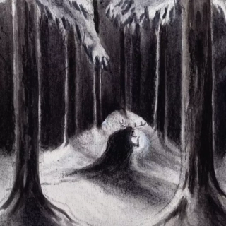 HAVUKRUUNU - Havulinnan CD