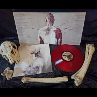 ACATHEXIS - Immerse, LP