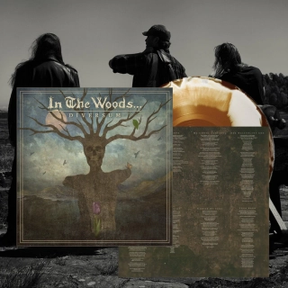 IN THE WOODS - Diversum LP (Lim. Brown/white vinyl w/double sided insert)