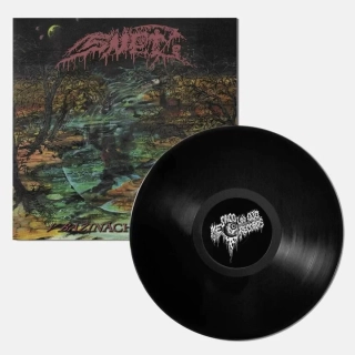 SNĚŤ - V bažinách vědomí LP black