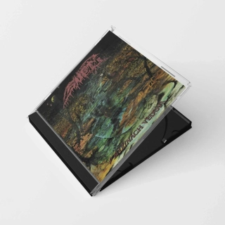 SNĚŤ - V bažinách vědomí CD