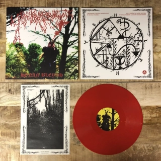 YNKLEUDHERHENAVOGYON - Honan Bleydh col. red