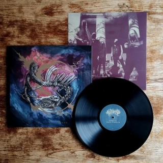 ILL TIDINGS - Seeds Of True Rebirth LP black