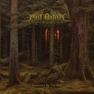 CAN BARDD - Devoured by the oak 2LP transparent orange